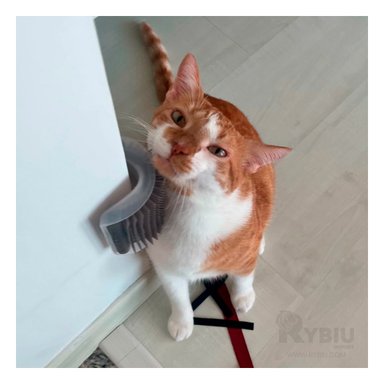 RASCADOR GATOS MA31328 ESQUINERO ELEGANTE GRIS + PAPEL REGALO RYBIU