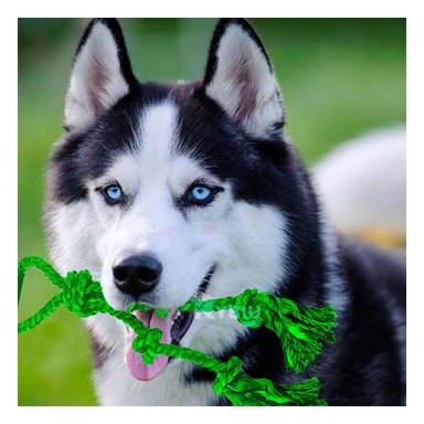 CUERDA PERRO MA31367 PERFECTA JUGAR VERDE + GIFT MINIAGENDA RYBIU