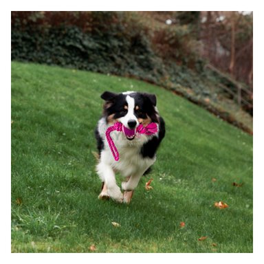 SOGA PERROS MA31360 SUAVE CON NUDO Y BOLA JUGAR ROSADO + PAPEL REGALO RYBIU