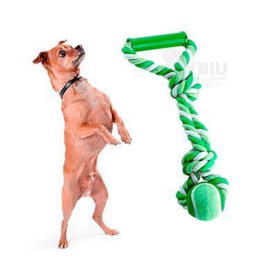 SOGA PERROS MA31370 CORDÓN Y NUDO EN Y RECREATIVA EN VERDE + POST IT ADHESIVOS RYBIU