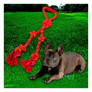 SOGA PERRO MA31365 CON NUDOS EN Y ROJO + PAPEL REGALO RYBIU