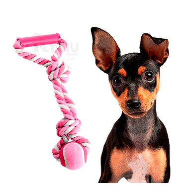 SOGA PERROS MA31369 ANTIESTRES ROSADO + PAPEL REGALO RYBIU