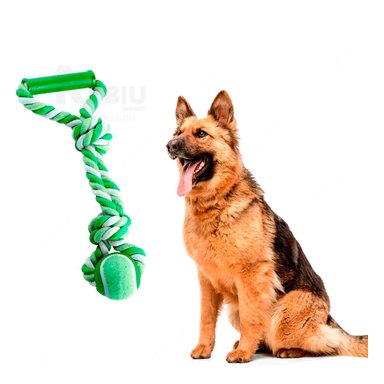 JUGUETE PERROS MA31370 ENTRETENIDO CACHORRO EN VERDE + REGALO STICKERS RYBIU