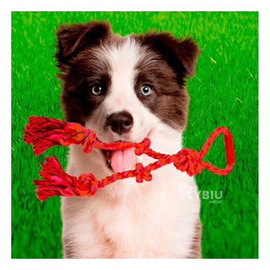 CUERDA PERROS MA31365 PERFECTA JUGAR CON ROJO + GIFT MINIAGENDA RYBIU