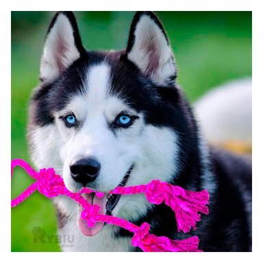 SOGA PERRO MA31366 CON NUDOS EN Y ROSADO + PAPEL REGALO RYBIU