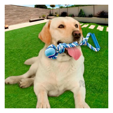 SOGA PERROS MA31368 RECREATIVA AZUL + PAPEL REGALO RYBIU