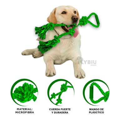 SOGA PERROS MA31367 CORDON Y NUDO EN Y RECREATIVA EN VERDE + POST IT ADHESIVOS RYBIU