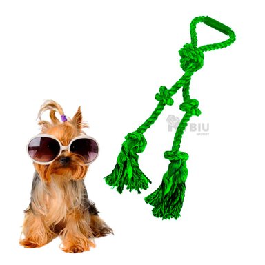 SOGA PERROS MA31367 RECREATIVA VERDE + PAPEL REGALO RYBIU