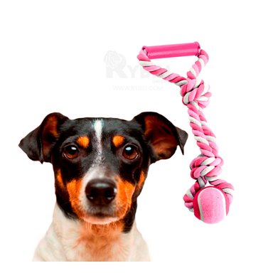 SOGA PERROS MA31369 CORDÓN Y NUDO EN Y RECREATIVA ROSADO + POST IT ADHESIVOS RYBIU