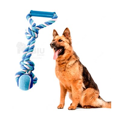 SOGA PERROS MA31368 CORDÓN Y NUDO EN Y RECREATIVA EN AZUL + POST IT ADHESIVOS RYBIU