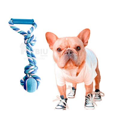 SOGA PERROS MA31368 CORDÓN IDEAL CON NUDO EN Y AZUL + BANDERITAS ADHESIVAS RYBIU