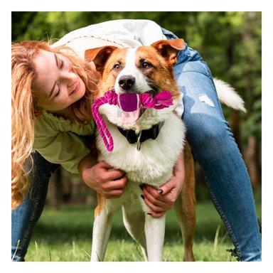 SOGA PERROS MA31360 PELOTITA TENNIS PET ROSADO + REGALO STICKERS RYBIU