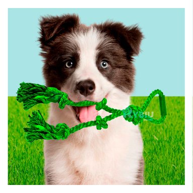 SOGA PERRO MA31367 CON NUDOS EN Y VERDE + PAPEL REGALO RYBIU