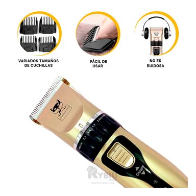 RASURADORA RYBIU 6680 MANEJO SENCILLO EN DORADO + POST-IT ADHESIVOS