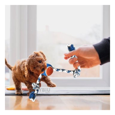 CUERDA ALGODÓN PERROS MA29964 ENTRENAR MULTICOLOR + REGALO LIGAS PEINAR RYBIU