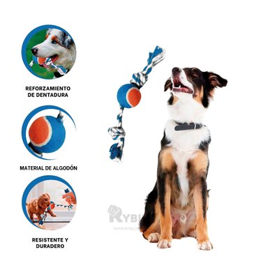JUGUETE ALGODÓN PERROS MA29964 MORDER PET EN MULTICOLOR + ENVOLTORIO REGALO RYBIU