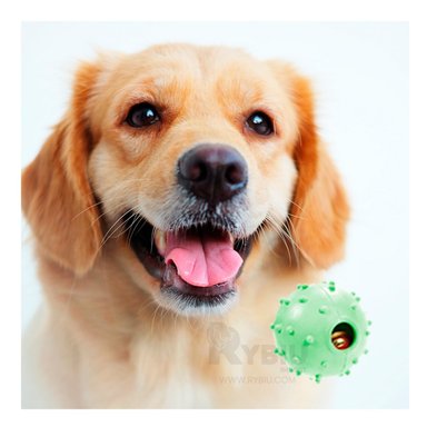 PELOTA CAUCHO PERROS Y GATOS MA31254 PRACTICA JUEGO VERDE + PAPEL REGALO RYBIU