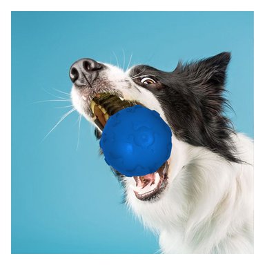 PELOTA CAUCHO PERROS MA31249 DIVERTIDA Y PEQUEÑA PET EN AZUL + PAPEL REGALO RYBIU