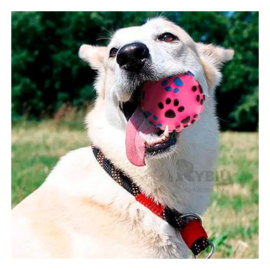 BALÓN PERROS MA31246 RESISTENTE ROSADO Y TALLA M + LIGAS REGALO RYBIU