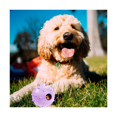 JUGUETE CAUCHO PERROS MA31252 FLEXIBLE MORADO + REGALO STICKERS RYBIU