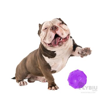 BOLA CAUCHO PERROS MA31251 MORDIDA PET EN MORADO + ENVOLTORIO REGALO RYBIU