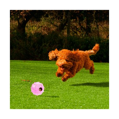 JUGUETE CAUCHO PERROS Y GATOS MA31253 RESISTENTE ROSADO + REGALO AGENDITA RYBIU