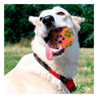 BALÓN PERROS MA31247 BONITO JUEGOS ANARANJADO + REGALO LIGAS PEINAR RYBIU