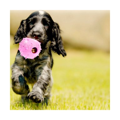 JUGUETE CAUCHO PERROS Y GATOS MA31253 REDONDO ROSADO + BANDERITAS ADHESIVAS RYBIU