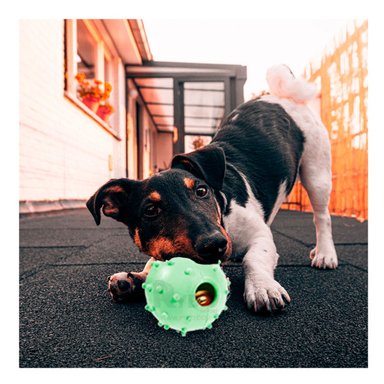 JUGUETE CAUCHO PERROS Y GATOS MA31254 ESFERICO VERDE + POST IT ADHESIVOS RYBIU