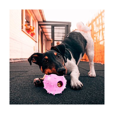 JUGUETE CAUCHO PERROS Y GATOS MA31253 ESFERICO ROSADO + POST IT ADHESIVOS RYBIU