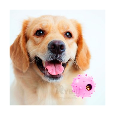 PELOTA CAUCHO PERROS Y GATOS MA31253 DIDACTICA ROSADO + PAPEL REGALO RYBIU