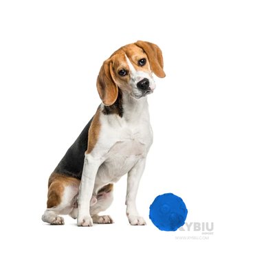 BOLA CAUCHO PERROS MA31249 JUEGO LIGERA MASCOTA EN AZUL + REGALO STICKERS RYBIU