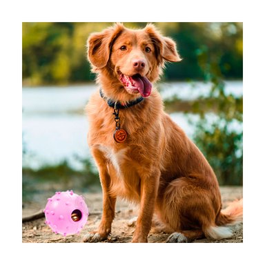 JUGUETE CAUCHO PERROS Y GATOS MA31253 MULTIFUNCIONAL ROSADO + GIFT MINIAGENDA RYBIU