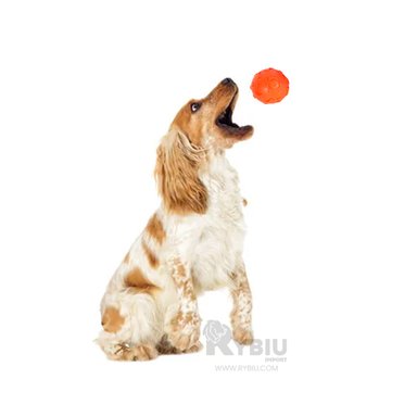 JUGUETE CAUCHO PERROS MA31250 REDONDO ANARANJADO + BANDERITAS ADHESIVAS RYBIU