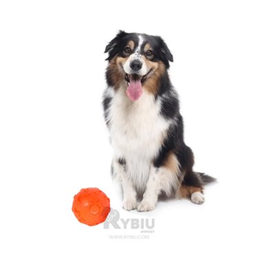 BOLA CAUCHO PERROS MA31250 JUEGO MASCOTA EN ANARANJADO + REGALO STICKERS RYBIU
