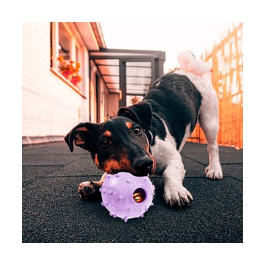 JUGUETE CAUCHO PERROS MA31252 MASCOTAS MORADO + ENVOLTORIO REGALO RYBIU