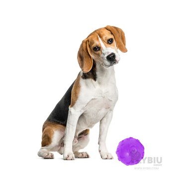 JUGUETE CAUCHO PERROS MA31251 REDONDO MORADO + BANDERITAS ADHESIVAS RYBIU