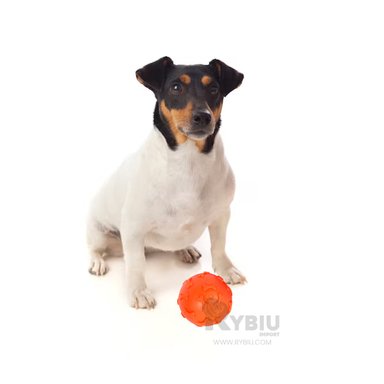 BOLA CAUCHO PERROS MA31250 ENTRENAMIENTO EN ANARANJADO + REGALO AGENDITA RYBIU