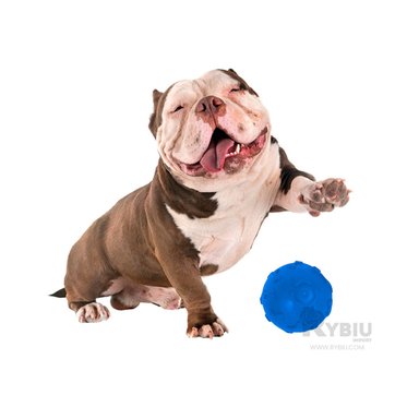 BOLA CAUCHO PERROS MA31249 MORDIDA PET EN AZUL + ENVOLTORIO REGALO RYBIU