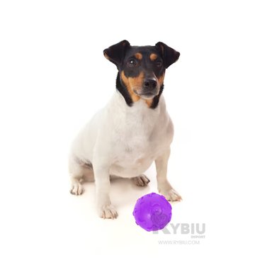 BOLA CAUCHO PERROS MA31251 RESISTENTE ENTRENAMIENTO EN MORADO + REGALO AGENDITA RYBIU