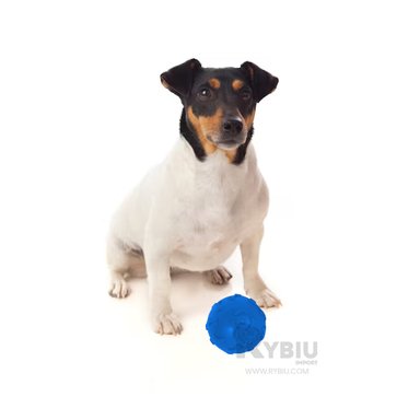 BOLA CAUCHO PERROS MA31249 RESISTENTE ENTRENAMIENTO EN AZUL + REGALO AGENDITA RYBIU