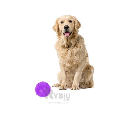 JUGUETE CAUCHO PERROS MA31251 ESFERICO MORADO + POST IT ADHESIVOS RYBIU