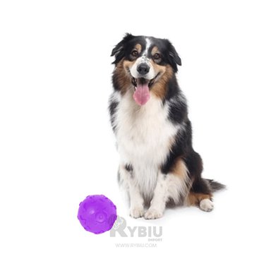 BOLA CAUCHO PERROS MA31251 JUEGO LIGERA MASCOTA EN MORADO + REGALO STICKERS RYBIU