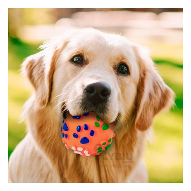 BALÓN PERROS MA31247 RESISTENTE Y DIVERTIDO EN ANARANJADO + LIGAS REGALO RYBIU