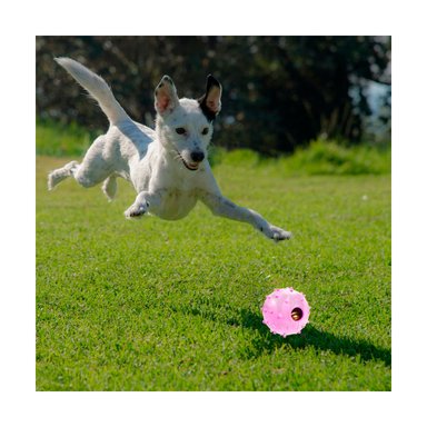 JUGUETE CAUCHO PERROS Y GATOS MA31253 ESFERICO ROSADO + ENVOLTORIO REGALO RYBIU