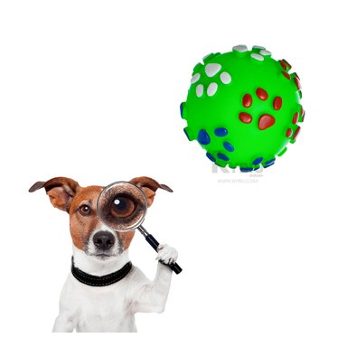 JUGUETE PERROS MA31248 ENTRETENIDO VERDE + REGALO STICKERS RYBIU