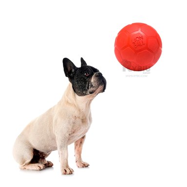 JUGUETE CAUCHO PERROS MA31257 ENTRETENIDO ROJO + REGALO STICKERS RYBIU