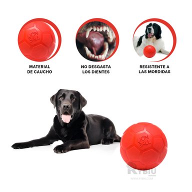 BALÓN CAUCHO PERRO MA31256 REDONDO EN VERDE + BANDERITAS ADHESIVAS RYBIU