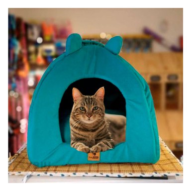 CASITA PERROS GATOS MA29098 LAVABLE TALLA M VERDE AGUA RYBIU + BANDERITAS ADHESIVAS