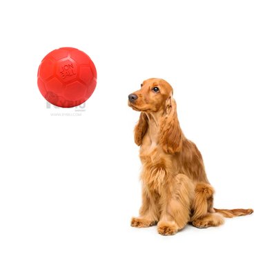 PELOTA CAUCHO PERRO MA31257 LIVIANA ROJO + PAPEL REGALO RYBIU